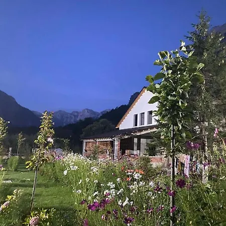 Breezy Hotel Отель типа 