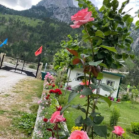Breezy Hotel Отель типа 